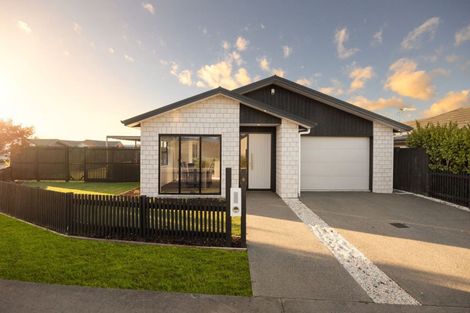 Photo of property in 6 Probert Crescent, Chartwell, Hamilton, 3210