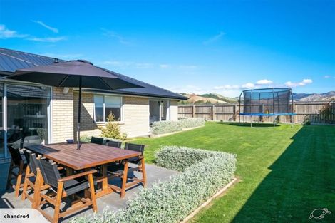 Photo of property in 7 Laird Street, Witherlea, Blenheim, 7201