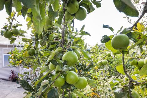 Photo of property in 127 North Street, Ashhurst, 4810