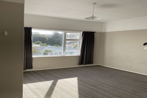 Photo of property in 91 Tasman Street, Mount Cook, Wellington, 6021