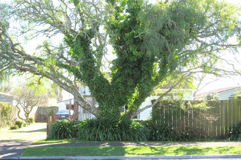 Photo of property in 65b Wellington Street, Hamilton East, Hamilton, 3216