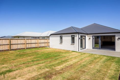 Photo of property in 47 Henshaw Street, Woodend, 7610