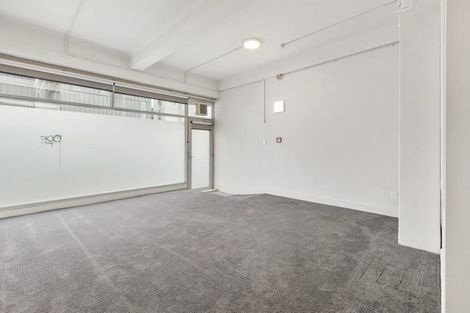 Photo of property in 195a Vivian Street, Te Aro, Wellington, 6011