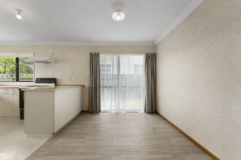 Photo of property in 98b Limbrick Street, Terrace End, Palmerston North, 4410