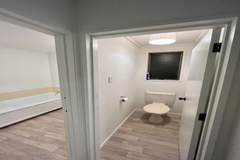 Photo of property in 58 Albert Street, Saint Clair, Dunedin, 9012