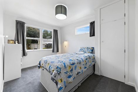 Photo of property in 12 Winter Street, Fairfield, Hamilton, 3214