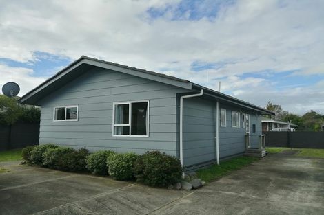 Photo of property in 113c Denbigh Street, Feilding, 4702