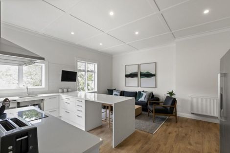 Photo of property in 58a Dryden Street, Grey Lynn, Auckland, 1021