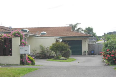 Photo of property in 91b Edinburgh Street, Pukekohe, 2120
