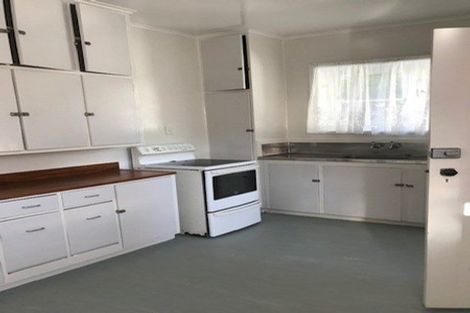 Photo of property in 13 Massey Avenue, Greenlane, Auckland, 1061