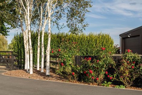 Photo of property in 81 Racecourse Road, Cambridge, 3493