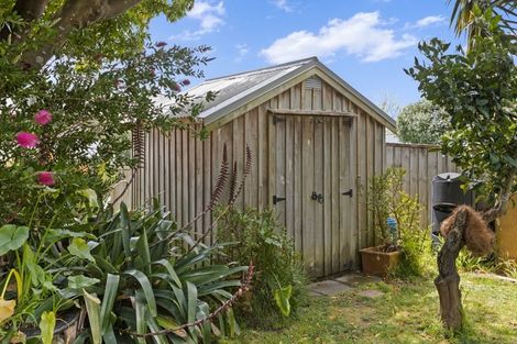 Photo of property in 105 Kowhai Road, Mairangi Bay, Auckland, 0630