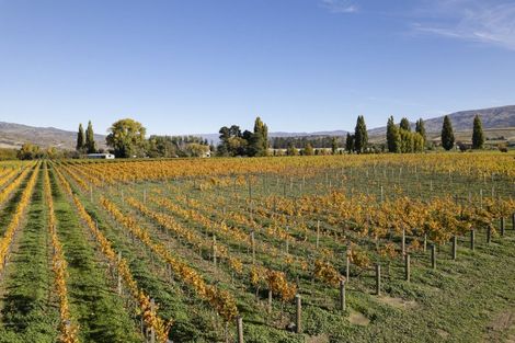 Photo of property in 1034 Luggate-cromwell Road, Mount Pisa, Cromwell, 9383