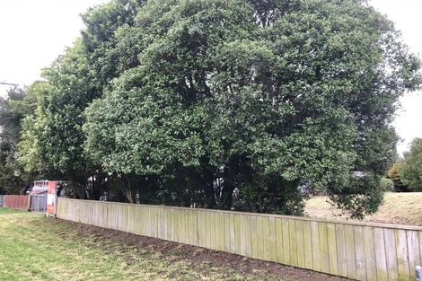 Photo of property in 145 Rolleston Street, Rakaia, 7710