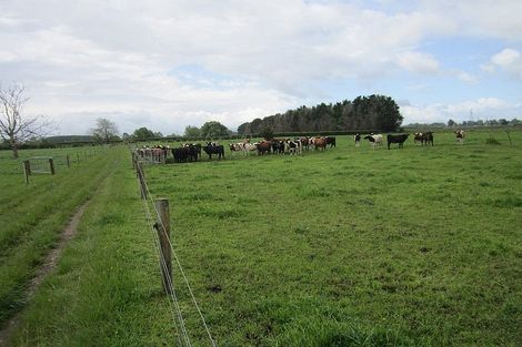 Photo of property in 411 Marychurch Road, Matangi, Hamilton, 3284