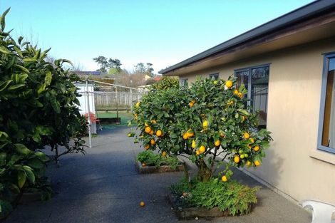 Photo of property in 3 Twickenham Close, Katikati, 3129