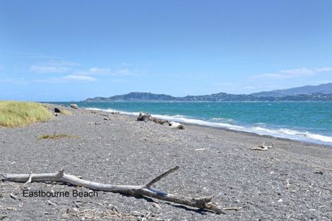 Photo of property in 8 Maire Street, Eastbourne, Lower Hutt, 5013