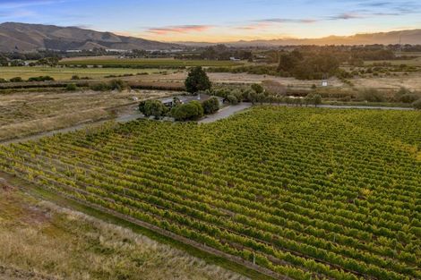 Photo of property in 686 Dillons Point Road, Dillons Point, Blenheim, 7273