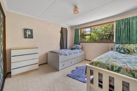 Photo of property in 5 Hart Place, Bridge Hill, Alexandra, 9320