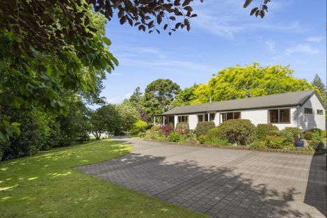 Photo of property in 284 Crawford Road, Minden, Tauranga, 3171