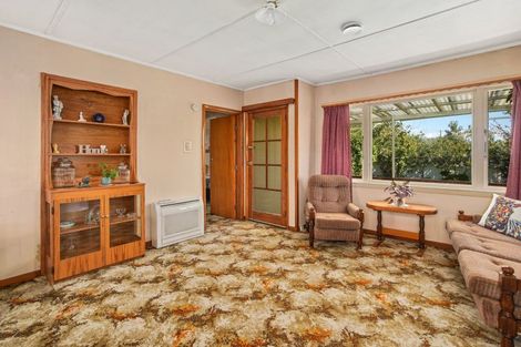 Photo of property in 8 D'arcy Street, Richmond, 7020