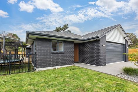 Photo of property in 1 Genoa Place, Whitby, Porirua, 5024