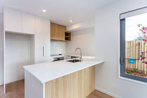 Photo of property in 1/76 Harman Street, Addington, Christchurch, 8024
