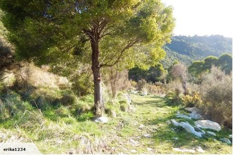 Photo of property in 190 Omoto Road, Kaiata, Greymouth, 7805
