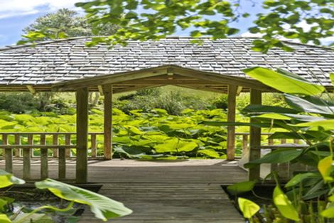 Photo of property in 247 Broomfields Road, Whitford, Howick, 2571