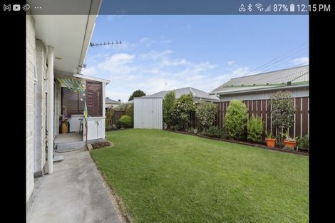 Photo of property in 15 Montgomery Street, Levin, 5510