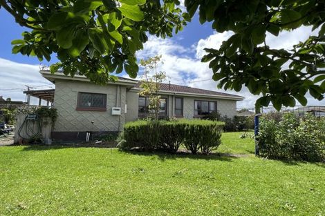 Photo of property in 51 Seymour Street, Waitara, 4320