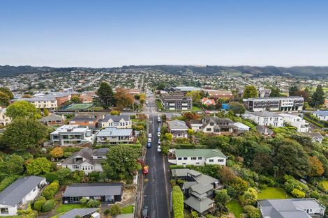 Photo of property in 10 Garfield Avenue, Roslyn, Dunedin, 9010