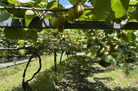 Photo of property in 123 Wiroa Road, Kerikeri, 0293