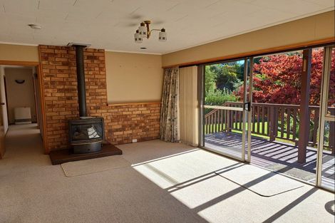 Photo of property in 22 Darby Street, Geraldine, 7930