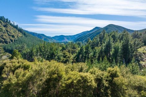 Photo of property in 1025 Wakamarina Road, Wakamarina, Havelock, 7178