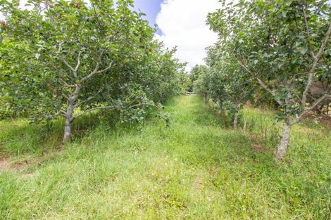 Photo of property in 185 Te Ahu Ahu Road, Ohaeawai, Kaikohe, 0472