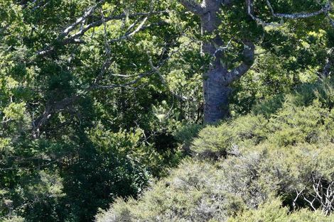 Photo of property in 113a Taemaro Road, Hihi, Mangonui, 0494