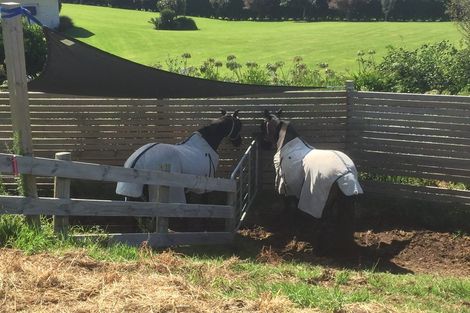 Photo of property in 109 Mimiha Ridge Road, Matata, Whakatane, 3194