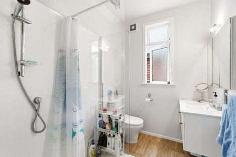 Photo of property in 29 Palm Avenue, Lyall Bay, Wellington, 6022