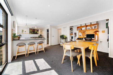 Photo of property in 20 Don Place, Alexandra, 9320