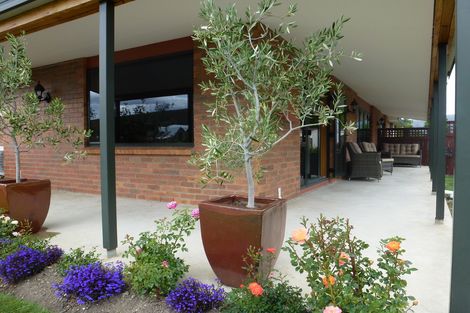 Photo of property in 133 Hazlett Street, Clyde, 9330