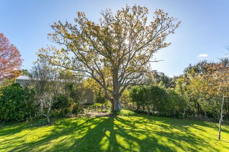 Photo of property in 1029 Hauraki Road, Coromandel, 3506