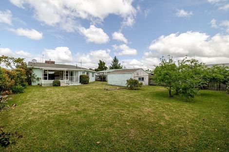 Photo of property in 181 College Street, Awapuni, Palmerston North, 4412