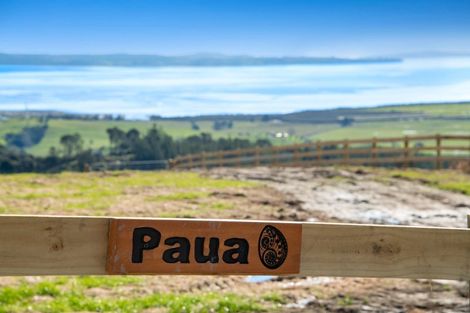 Photo of property in 189 Tuhirangi Road, Makarau, 0984