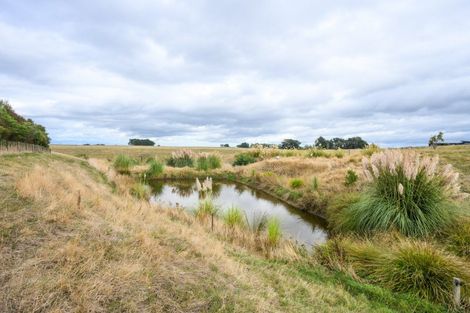 Photo of property in 21 Sutherland Road, Sanson, Palmerston North, 4479