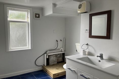 Photo of property in 13 Balmoral Terrace, Newtown, Wellington, 6021