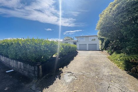 Photo of property in 60 Newcastle Street, Hokowhitu, Palmerston North, 4410