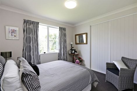 Photo of property in 20 Whittaker Place, Havelock North, 4130