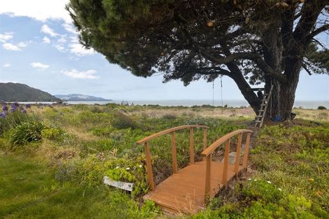 Photo of property in 196 Rarangi Beach Road, Rarangi, Blenheim, 7273