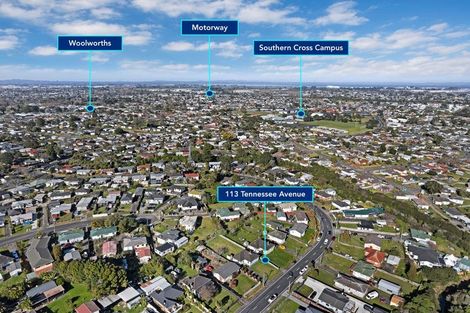 Photo of property in 113 Tennessee Avenue, Mangere East, Auckland, 2024